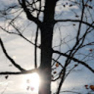 Meet your Posher, Nora